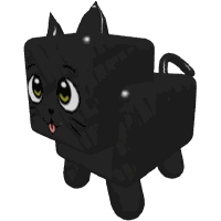 Black Cat