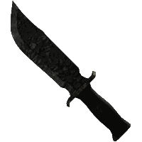 Coal