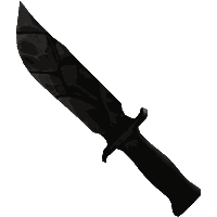 Coal