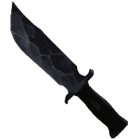 Coal