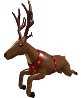 Reindeer